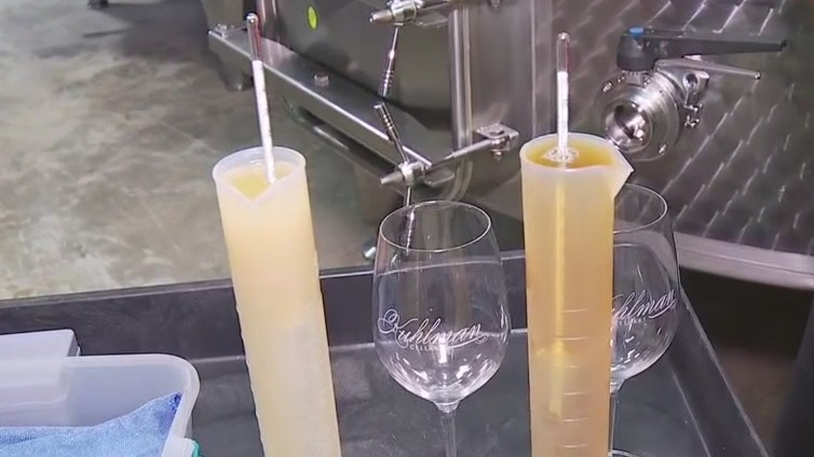 Second step in Old World winemaking process at Kuhlman Cellars
